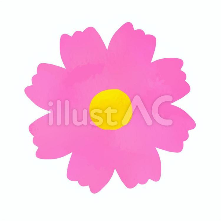 コスモス／その２ コスモス,秋桜,秋のイラスト素材