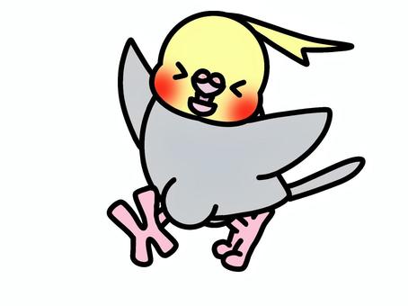 Illustration, cockatiel, bird, animal, 