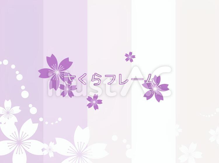 桜フレーム03/紫色 桜,さくら,フレームのイラスト素材