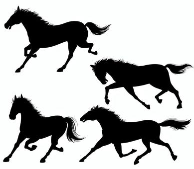 Illustration, лошадь, силуэт, быстрый марш, 