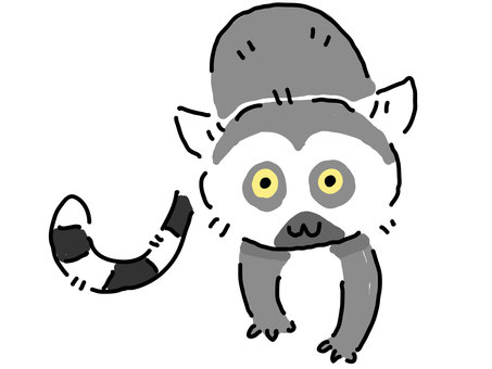 Ring-tailed lemur looking at the front, Ring-tailed lemur looking at the front, wolverine lemur, illustration, a hand,