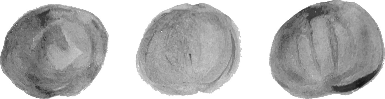 墨フレーム 年賀状,筆,和風,和,墨,かすれ,フレーム,和風飾り,新年,お正月のイラスト素材