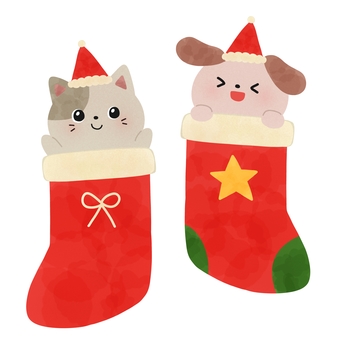 クリスマス靴下と猫犬 クリスマス,靴下,犬,猫,動物,サンタ,帽子,絵本,可愛い,ゆるいのイラスト素材