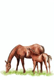 年賀ハガキ水彩馬の親子 馬,午年,動物,親子,年賀状,年賀ハガキ,干支,十二支,水彩,手描きのイラスト素材