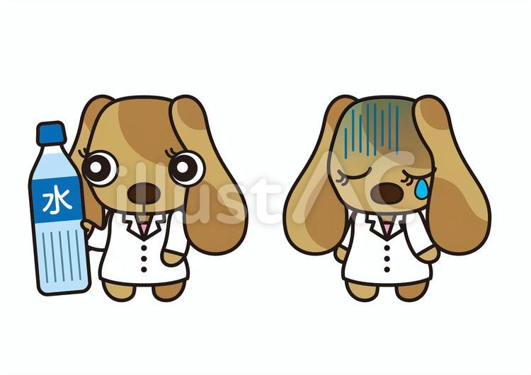 犬の薬剤師（水分補給、顔色が悪い） 犬,水,水分のイラスト素材