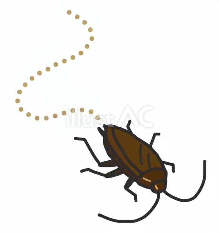#3062ゴキブリ ゴキブリ,害虫,昆虫のイラスト素材
