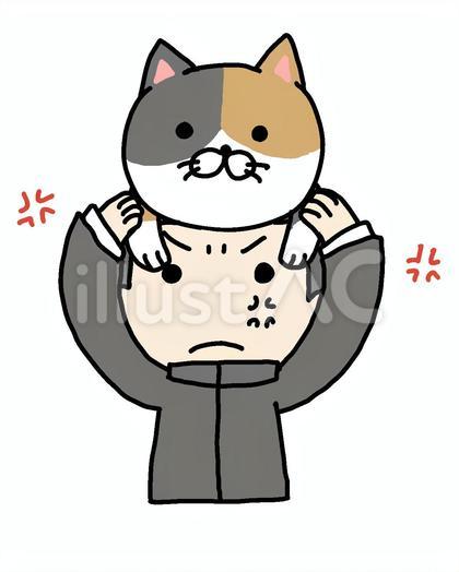 猫をかぶる怒る少年