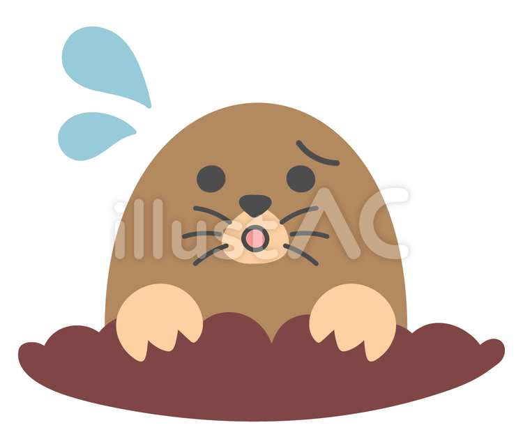 もぐら　動物　小動物　手描き　 汗　焦る もぐら,動物,小動物のイラスト素材