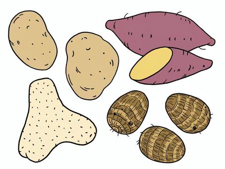 Taro, potatoes, potato, sweet potato, JPG, PNG and AI