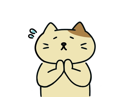 必死に手を合わせるねこ ねこ,生き物,動物,ごめんなさい,申し訳ありません,謝罪,謝る,汗,焦る,手のイラスト素材