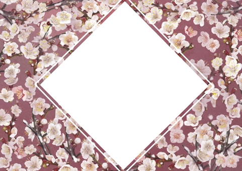 美しい梅の四角フレーム 梅,白梅,和,和風,日本,フレーム,背景,壁紙,枠,飾り枠のイラスト素材