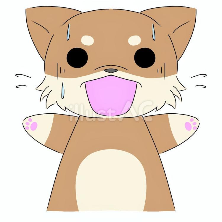 驚く柴犬　茶色 動物,ペット,犬のイラスト素材