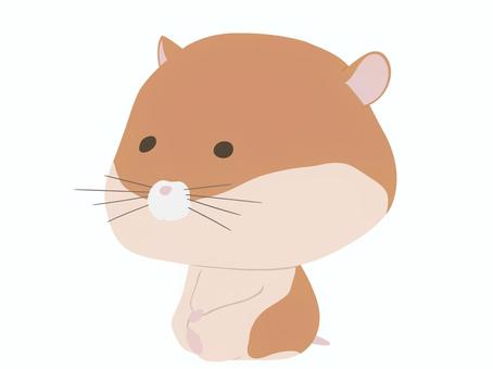 座っているハムスター 座る,ゴールデンハムスター,ハムスター,リラックス,動物,かわいいのイラスト素材