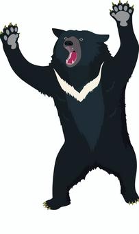 熊のイラスト 熊,ツキノワグマ,熊注意,出没注意,野生動物,危険,bearのイラスト素材