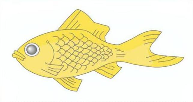 金魚 金魚,魚,夏,生き物,夏祭り,金魚すくいのイラスト素材