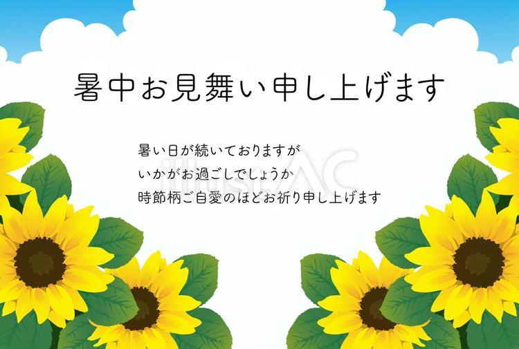 暑中見舞い10 暑中見舞い,夏,挨拶状のイラスト素材