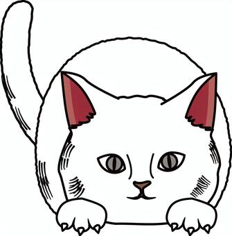 猫伏せる　 猫,顔,手,尻尾,伏せる,かわいい,動物,ペット,シンプル,白のイラスト素材