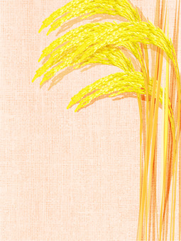 黄金色の稲穂と麻布の背景　ine012 稲穂,黄金色,リアル,金,お米,ナチュラル,お洒落,自然,植物,大人っぽいのイラスト素材