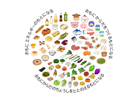 栄養　円グラフ③ 栄養,給食,食品,円グラフ,小学校,中学校,たんぱく質,脂質,炭水化物,ビタミンのイラスト素材