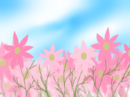 コスモスのイラスト コスモス,秋,風景,背景,壁紙,イラスト,手描きのイラスト素材