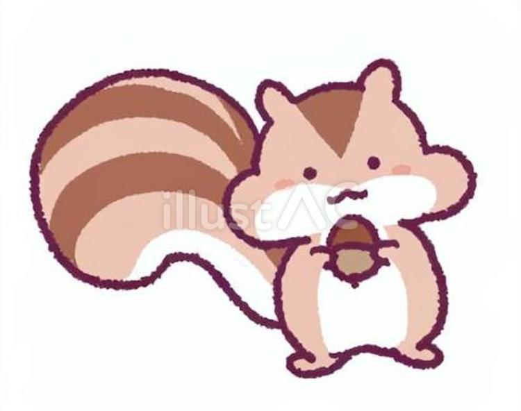 どんぐりを持ったリスの手描きイラスト りす,動物,どんぐりのイラスト素材
