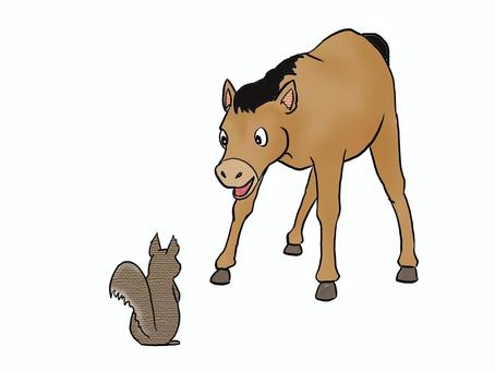 可愛い仔馬とリス 動物,馬,仔馬,リス,後ろ姿,可愛い,全身,手書きのイラスト素材
