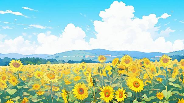 ひまわり畑と青い空 ひまわり畑と青い空 ひまわり,青空,夏のイラスト素材