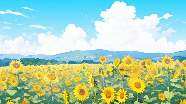 sunflower field and blue sky, , JPG