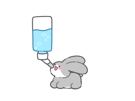 水を飲むハチワレうさぎ うさぎ,ハチワレ,灰色,グレー,ホワイト,白,水,飲む,給水,給水器のイラスト素材