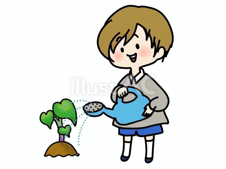 サツマイモの苗に水やりをする男の子 男の子,水やり,栽培のイラスト素材