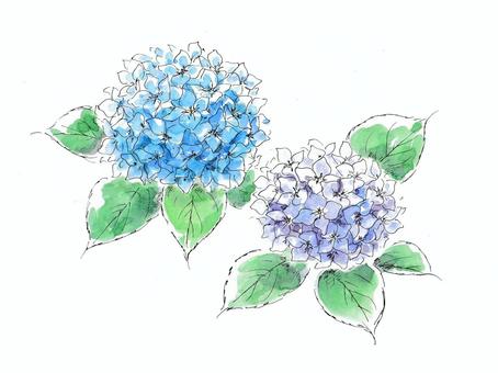 繡球花, JPG 和 PNG 繡球花, 水彩, 水彩畫, 繡球, JPG 和 PNG