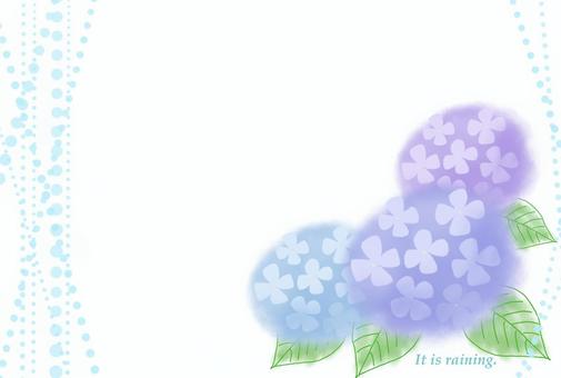 アジサイのポストカード