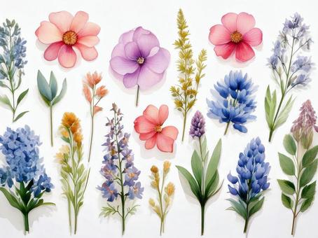 様々な花やハーブが並んだイラスト