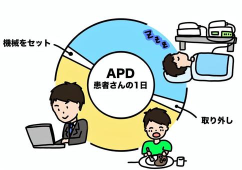 APD患者さんの1日　男性カラー apd,1日,サイクル,患者,男性,腹膜透析,カラーのイラスト素材
