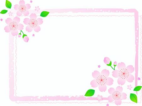 Illustration, cherry blossoms, spring, sakura, 