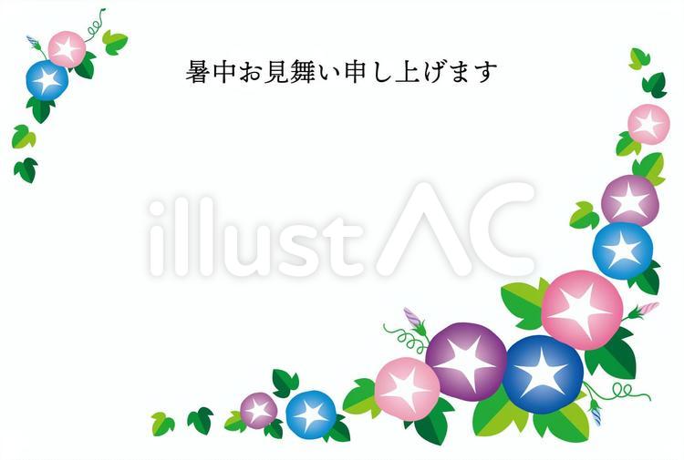 朝顔暑中見舞い08【白背景/横】 朝顔,あさがお,暑中見舞いのイラスト素材