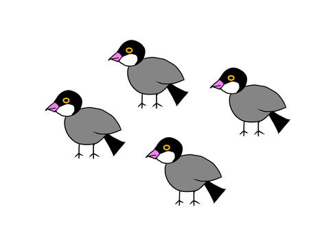 文鳥 文鳥,鳥,鳥類,小鳥,複数のイラスト素材