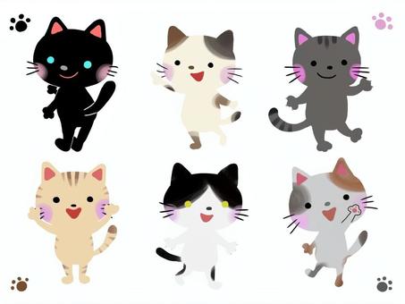 かわいい猫６匹セット 猫,動物,ペット,イラスト,セット,黒猫,ブチ,グレー,茶トラ,ハチワレのイラスト素材