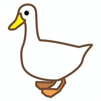 Illustration, duck, home duck, bird, 