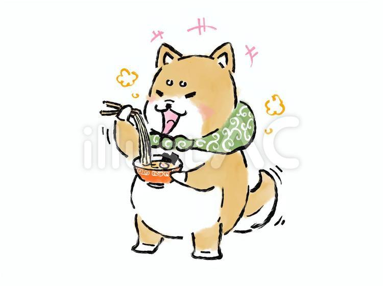 柴犬さん　ラーメン 犬,柴犬,ゆるいのイラスト素材