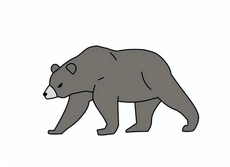 目つきが怖い熊　線画 熊,ヒグマ,害獣,リアル,全身,カラー,哺乳類,野生動物,大型,フラットのイラスト素材