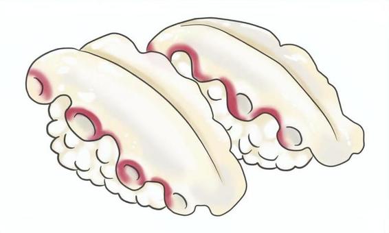 寿司ネタのイラスト　タコ タコ,寿司,握り,食べ物,料理,献立,メニュー,和食,海産物,挿絵のイラスト素材