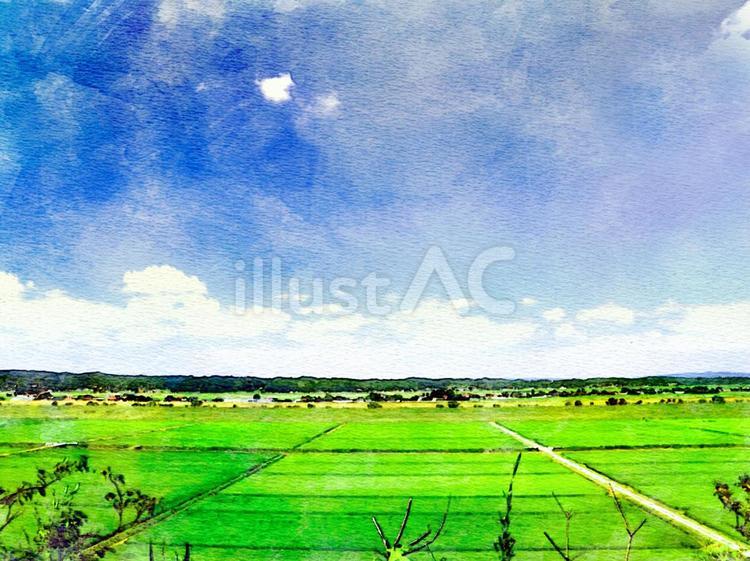 夏の田園風景の絵葉書画像 絵葉書,田園,風景のイラスト素材