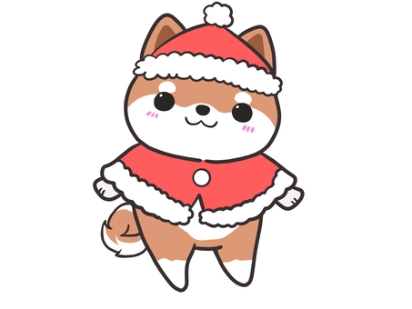 クリスマス柴犬 柴犬,犬,動物,クリスマス,赤柴のイラスト素材