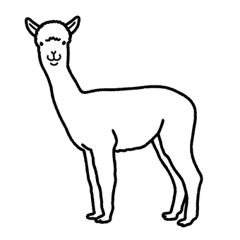 アルパカ アルパカ,動物園,哺乳類,生き物,塗り絵のイラスト素材