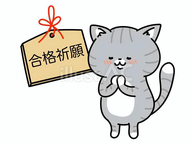 絵馬に合格祈願をする猫ちゃん 絵馬,願い,願かけのイラスト素材