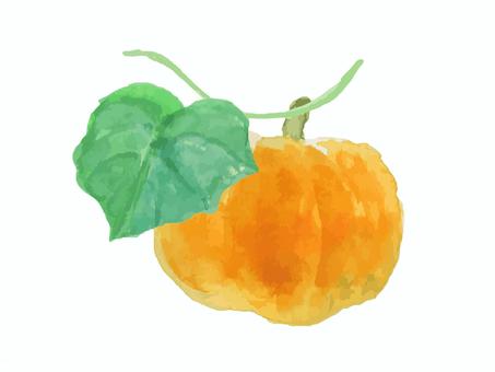 水彩のシンプルな黄色いカボチャ かぼちゃ,カボチャ,野菜,可愛い,食べ物,水彩,水彩絵の具,畑,手描き,手書きのイラスト素材