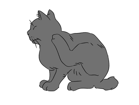 Black cat scratching its head with its hind legs, JPG, PNG and AI Black cat scratching its head with its hind legs, cat, black cat, stray cat, JPG, PNG and AI