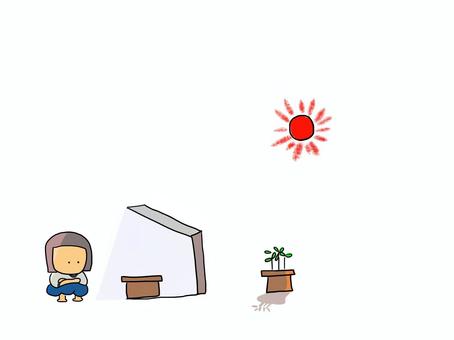 育て方　おかっぱ 植木鉢,植物,育てる,太陽,光,日陰,おかっぱのイラスト素材