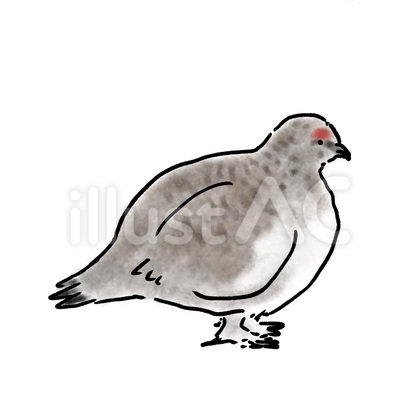 ライチョウ(夏毛) 日本の動物シリーズ